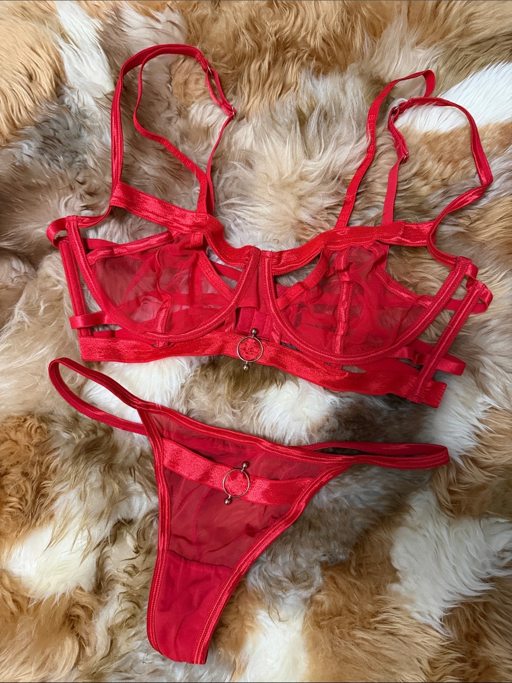 Bluebella | Sacha Red Sheer Underwire Bra & Thong Set | 36DD & M | NWOT